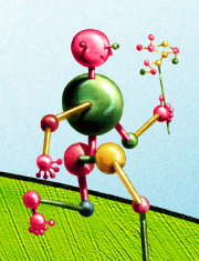 printemps des sciences 2011